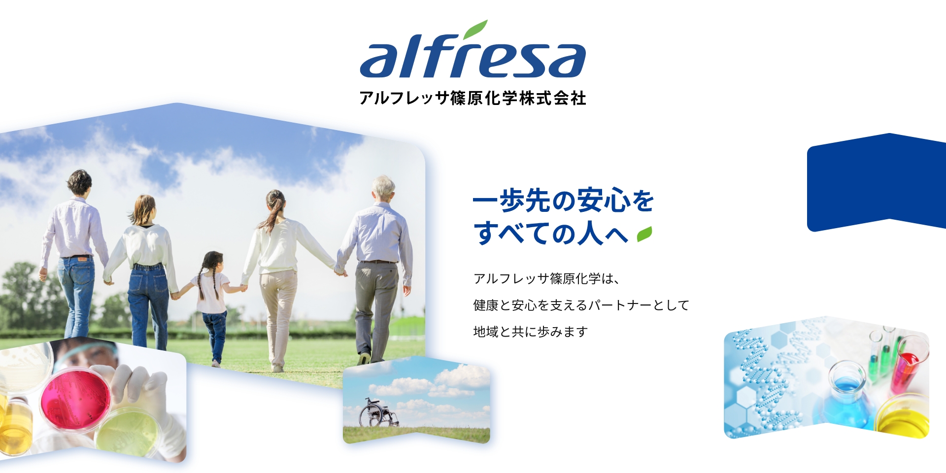 販売許可書｜アルフレッサ篠原化学株式会社