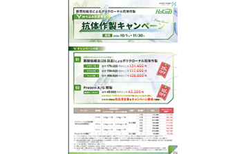 ﾅｶﾗｲ　株式会社ﾎｸﾄﾞｰ　抗体作製キャンペーン